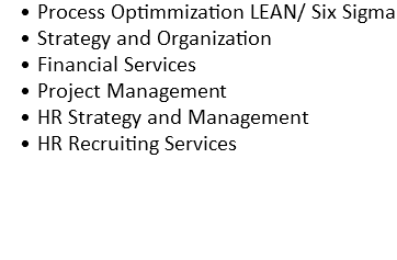 Process Optimmization LEAN/ Six Sigma
Strategy and Organization
Financial Services
Project Management
HR Strategy and Management
HR Recruiting Services